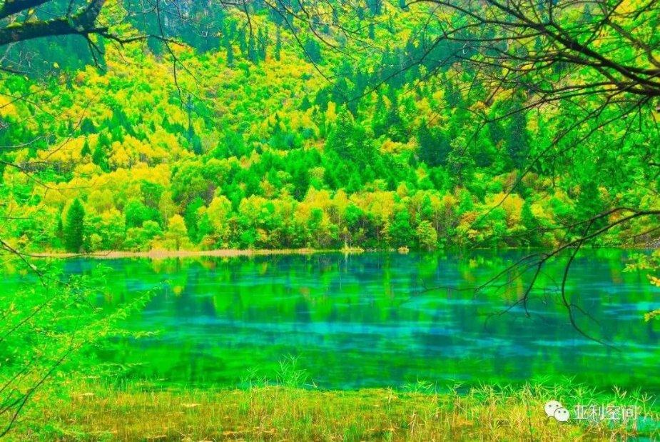 蝴蝶消消乐