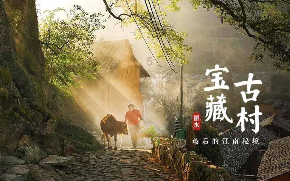寻找沙漠珍宝