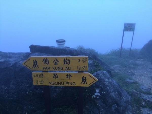 动物帮帮忙保卫家园