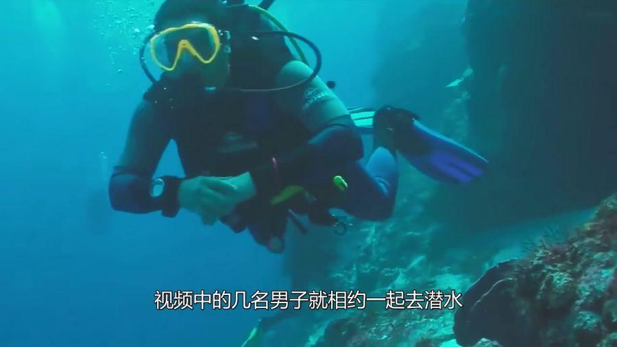 晨间天气丨中心城区阴天 12℃左右