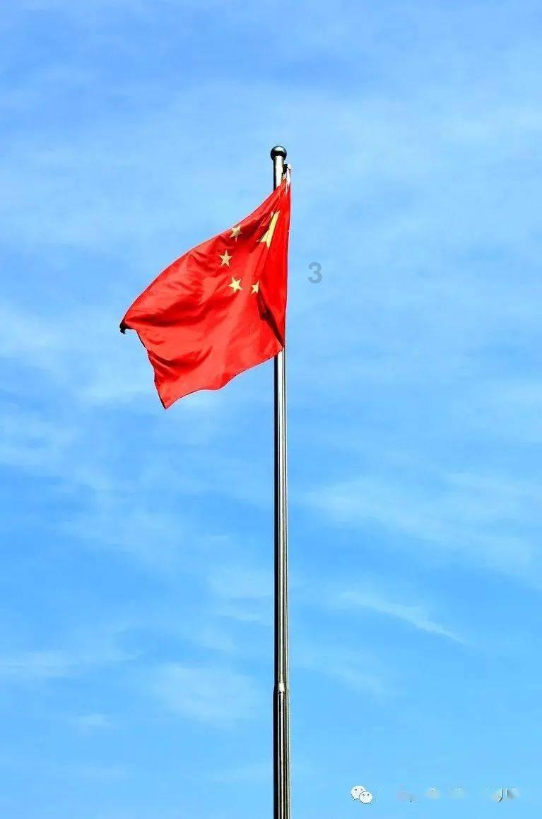 探寻天涯问答平台青春逗小说txt全集免费下载