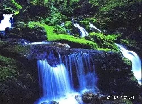 奇形怪状